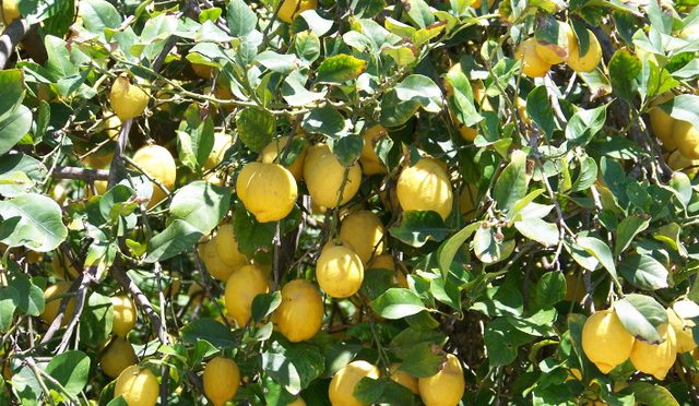 4. Beitrag – Beitragsbild